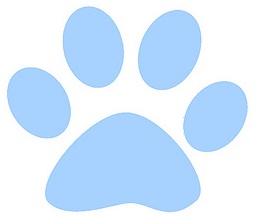 dog-paw