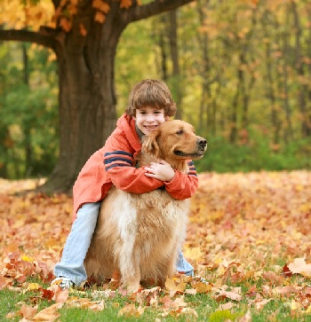 dog games for kids dog games for kids